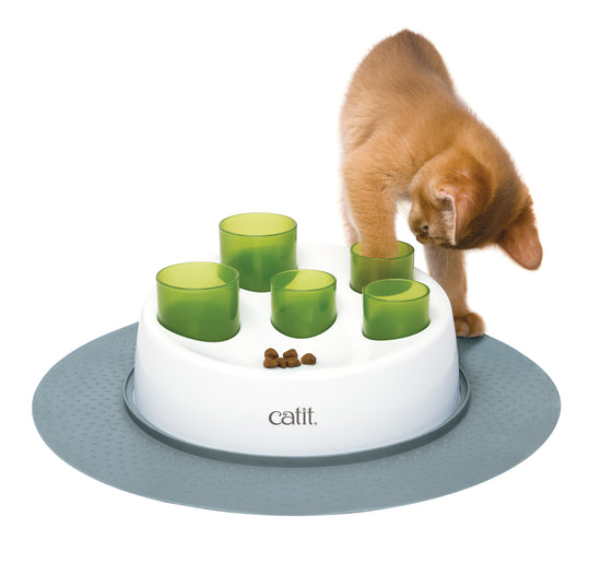 Cat playing with digger slow feeder 