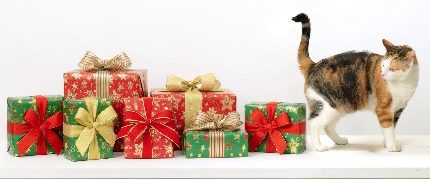 Holiday Cat  Gift Guide