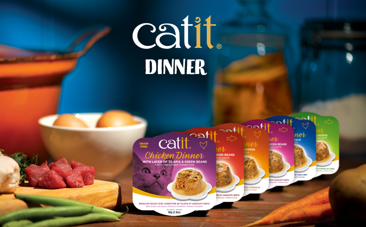 Nourriture humide à deux étages