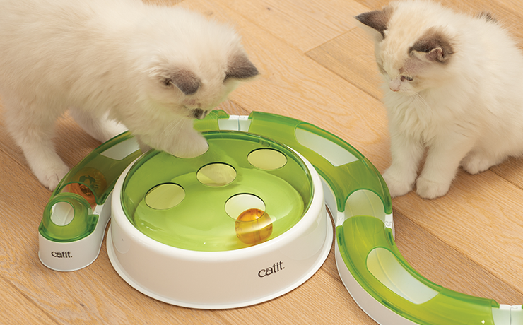Jouets pour chats