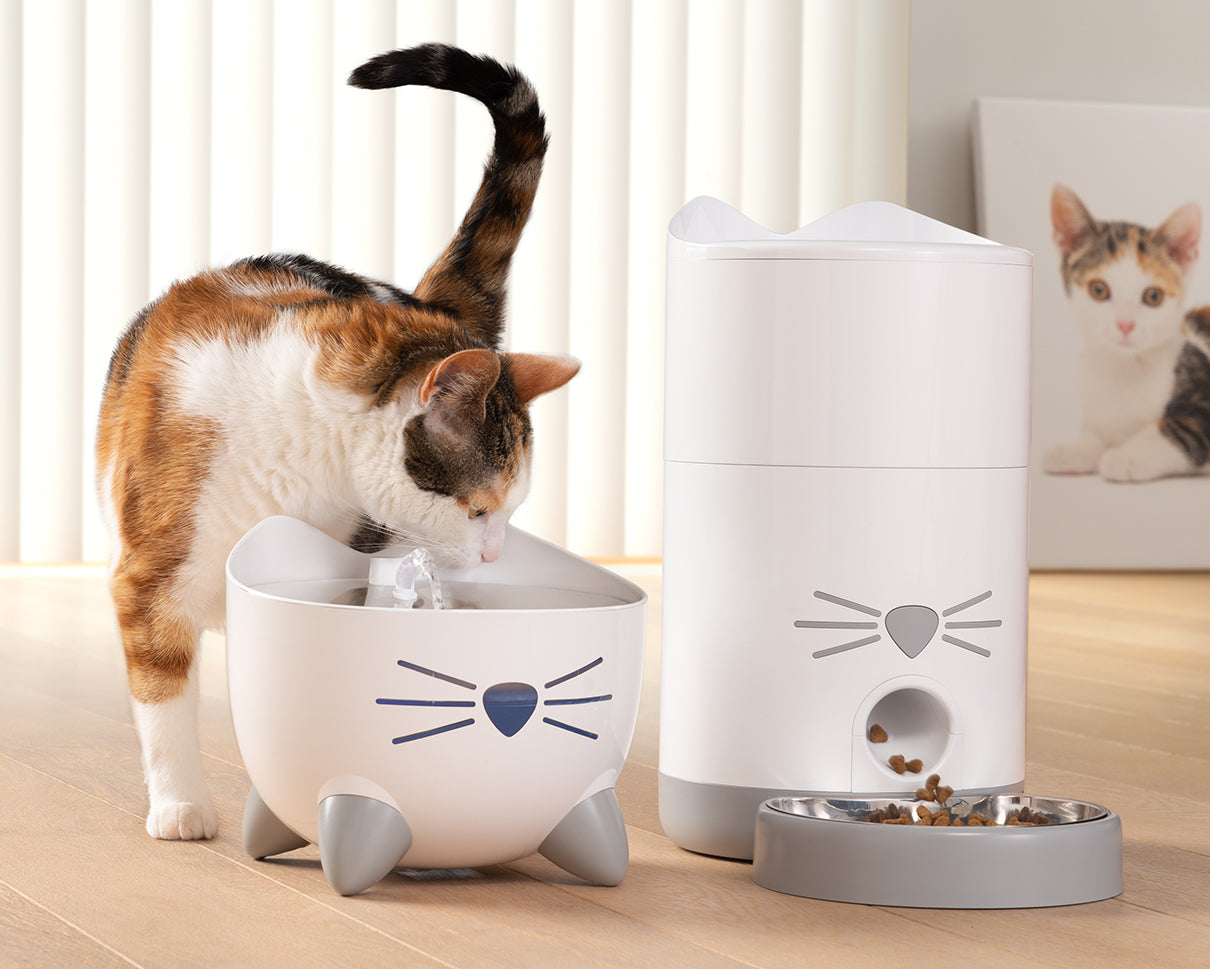 Cat drinking from fountain next to feeder 