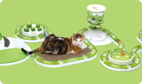 Terrain de jeu Senses