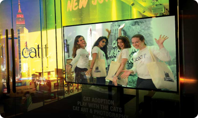 Catit events 