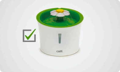 Checkmark with cat flower fountain