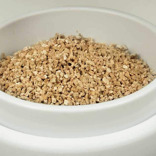 Cat grass planter - step 6